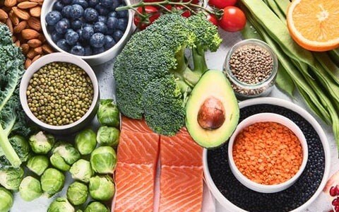 best-food-500x500_480x480