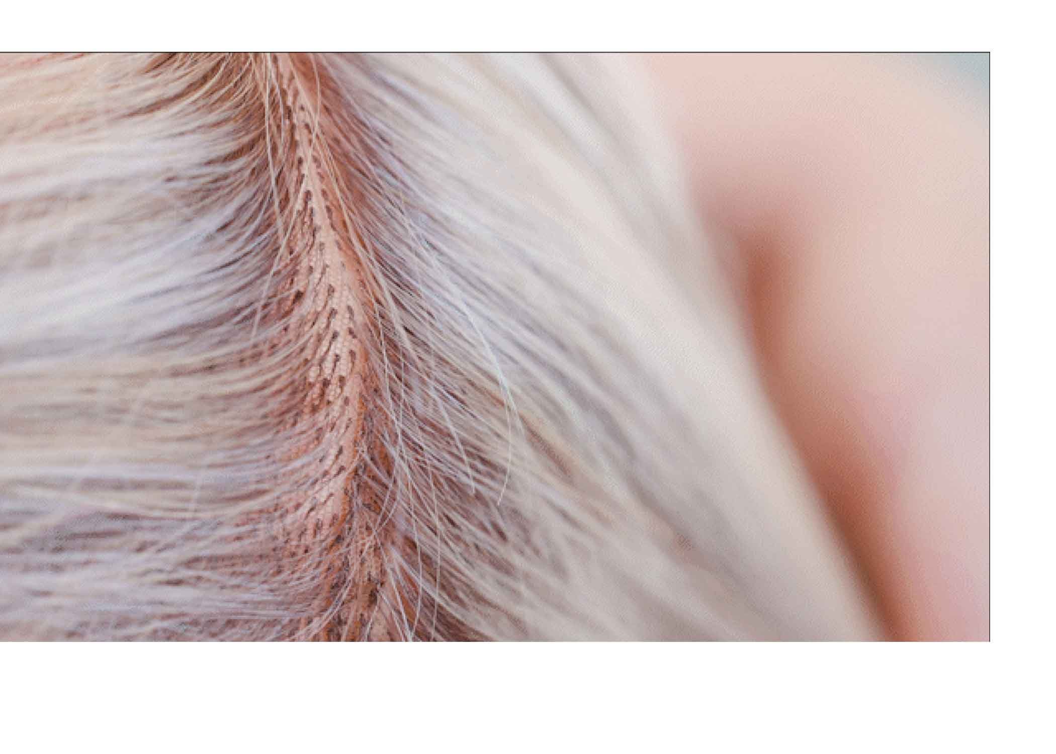 How Much Does a Wig Cost?